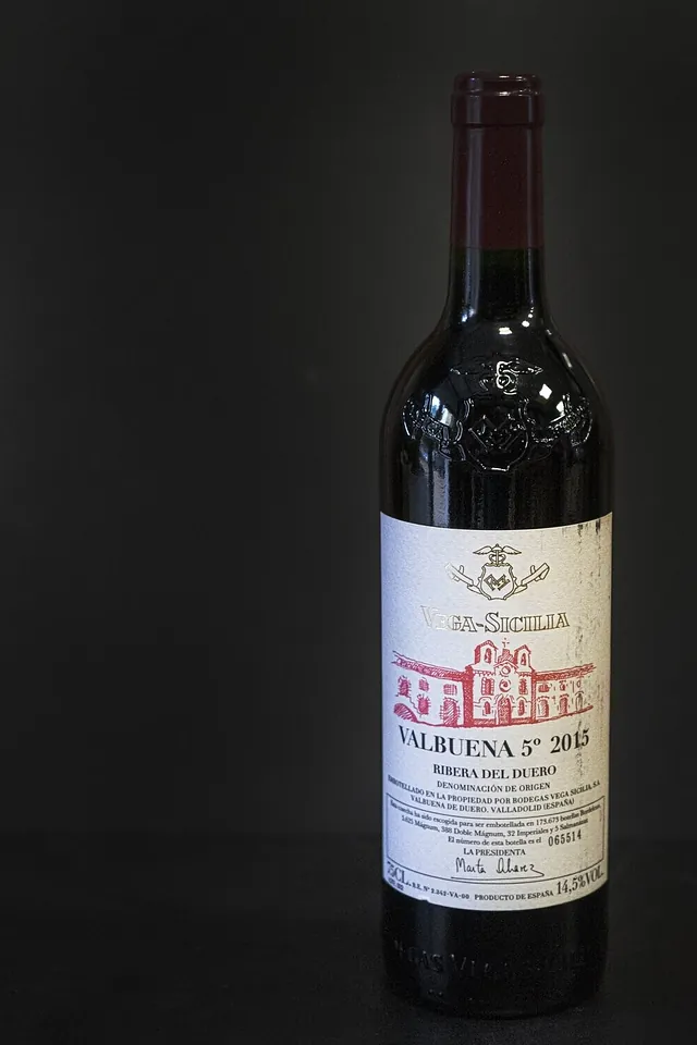 La Jamonería VINO VALBUENA - Ribera del Duero