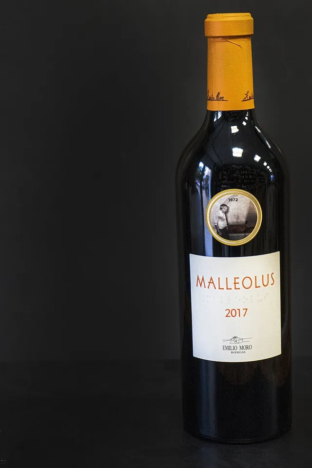 La Jamonería VINO MALLEOLUS - Ribera del Duero